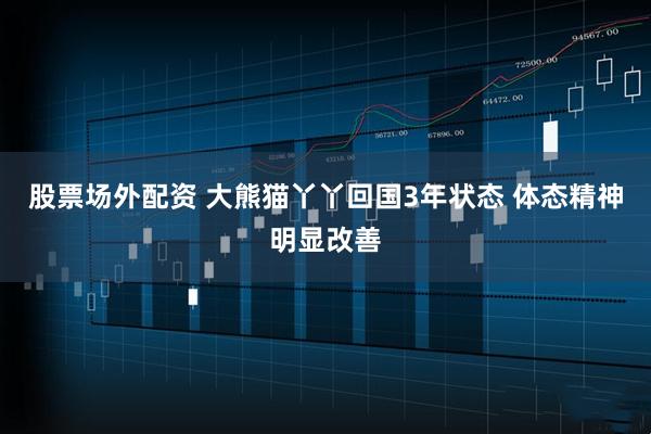 股票场外配资 大熊猫丫丫回国3年状态 体态精神明显改善
