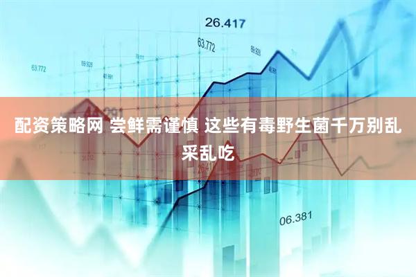 配资策略网 尝鲜需谨慎 这些有毒野生菌千万别乱采乱吃