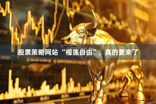 股票策略网站 “榴莲自由”，真的要来了
